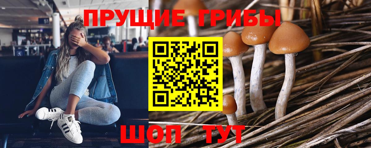 Псилоцибиновые грибы MAGIC MUSHROOMS Королёв