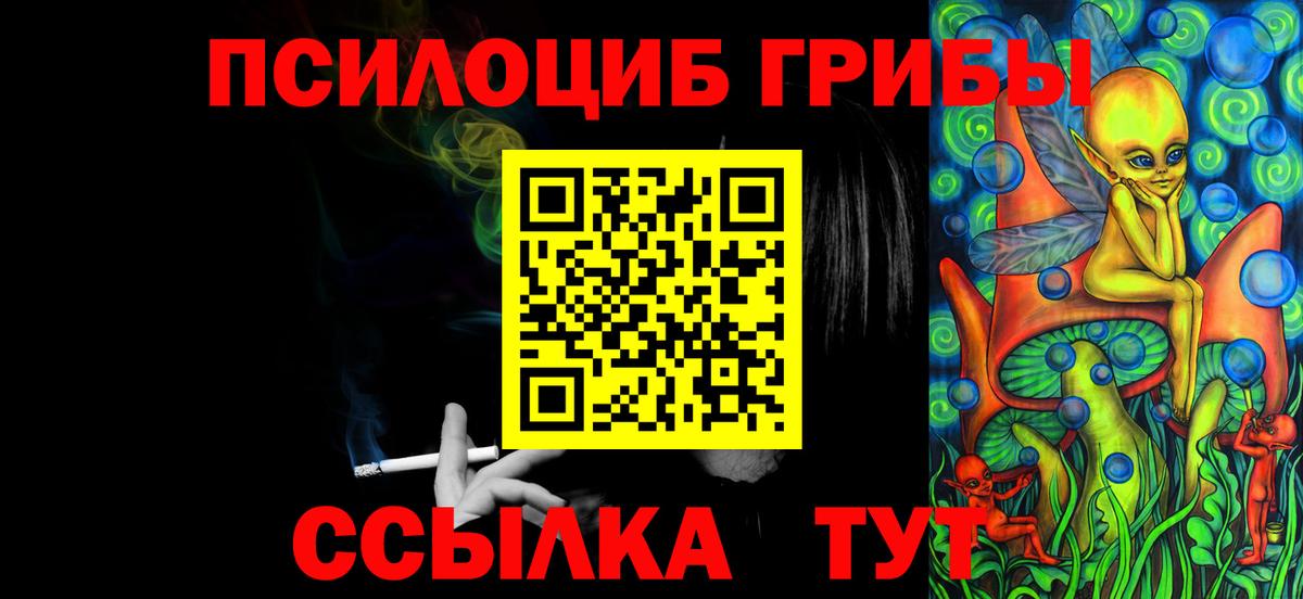 Псилоцибиновые грибы Cubensis  Псилоцибиновые грибы прущие грибы  Вход с VPN  Королёв 